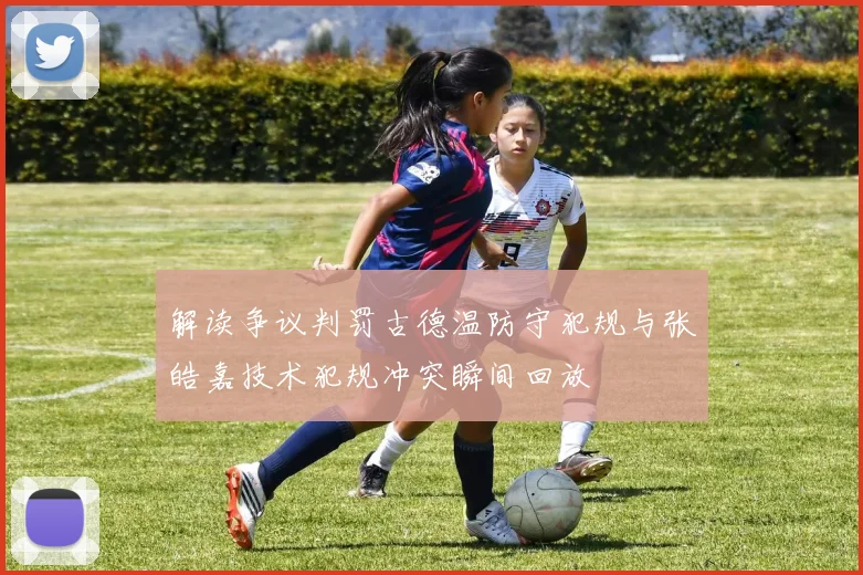 解读争议判罚古德温防守犯规与张皓嘉技术犯规冲突瞬间回放