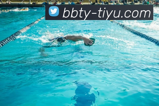 BB体育(BB SPORTS)官方授权体育信息服务中心平台生态图