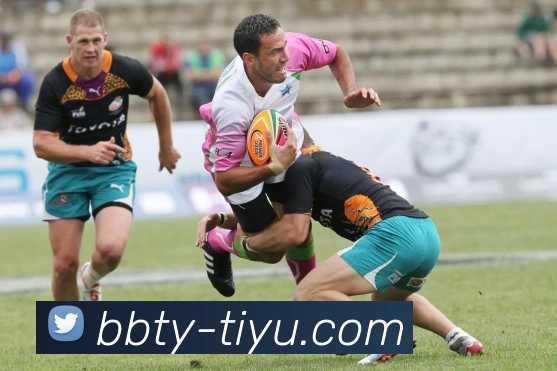 BB体育(BB SPORTS)官方授权体育信息服务中心服务体系